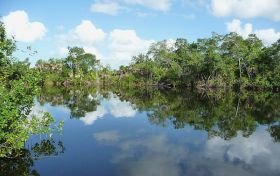 River in Belize – Best Places In The World To Retire – International Living